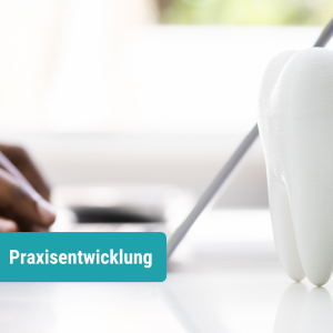 mindmaxx Online Schulung