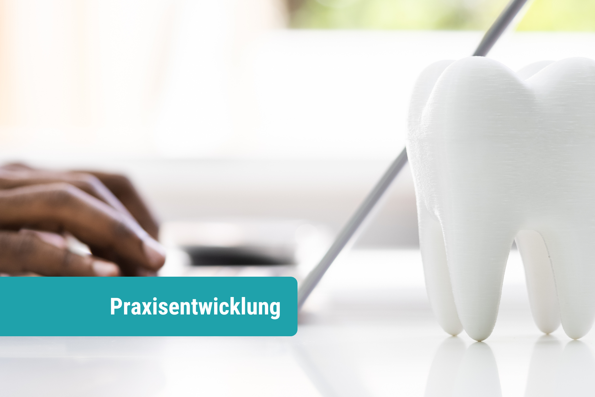 mindmaxx Online Schulung